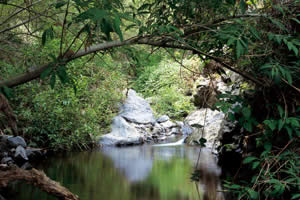 Barranco del Infierno